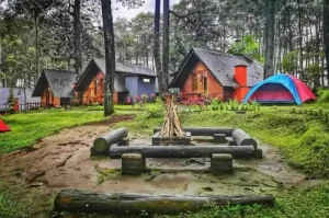 Grafika Cikole, Panorama Hutan Pinus & Spot Foto Keren di Bandung Barat