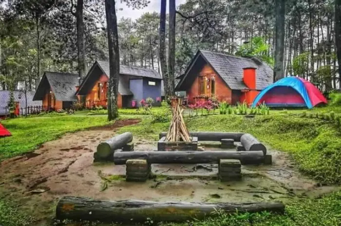 Grafika Cikole, Panorama Hutan Pinus & Spot Foto Keren di Bandung Barat