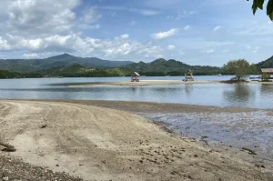 Pantai Dewi Mandapa, Destinasi Wisata Bahari dengan Panorama Hutan Bakau Eksotis di Lampung