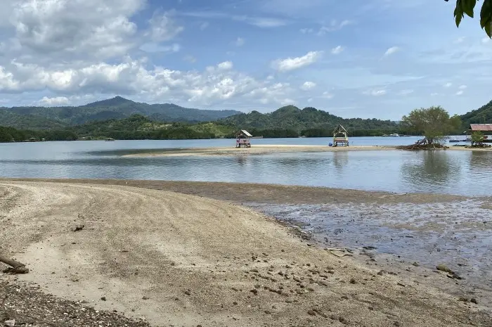 Pantai Dewi Mandapa, Destinasi Wisata Bahari dengan Panorama Hutan Bakau Eksotis di Lampung
