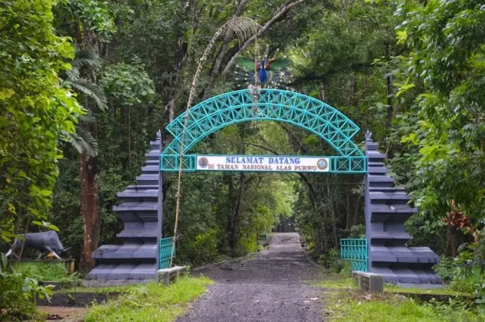Taman Nasional Alas PurwoTaman Nasional Alas Purwo
